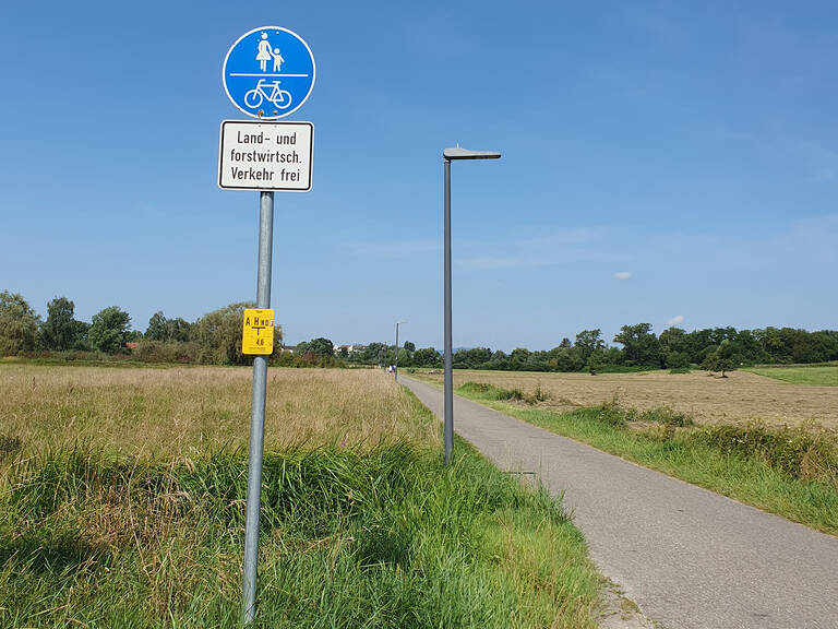 Ein gemeinsamer Fuß- und Radweg führt unter blauem Himmel durch das Ried, mit einem Schild, das nur land- und forstwirtschaftlichen Verkehr erlaubt.