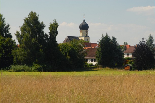  Kirche in Böhringen mit Bäumen und Häusern umgeben, im Vordergrund eine gelbe Wiese 