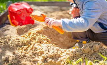 Sandbienen auf Spielplätzen
