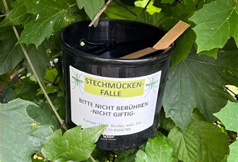 Monitoring Asiatische Tigermücke