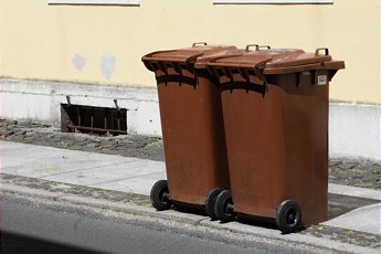 Diese Woche keine Biomüll-Abfuhr